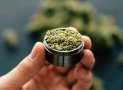 Best CBD Vape Flavours